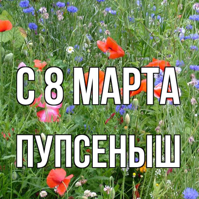 Картинка C 8 МАРТА, пупсеныш