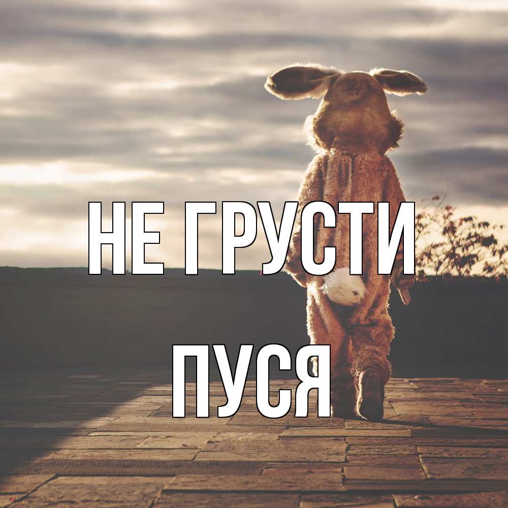 Открытка на каждый день с именем, Пуся Не грусти со спины Прикольная открытка с пожеланием онлайн скачать бесплатно 