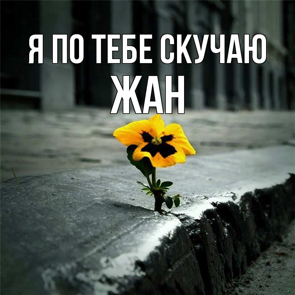 Открытка на каждый день с именем, Жан Я по тебе скучаю надеюсь будет лучше Прикольная открытка с пожеланием онлайн скачать бесплатно 