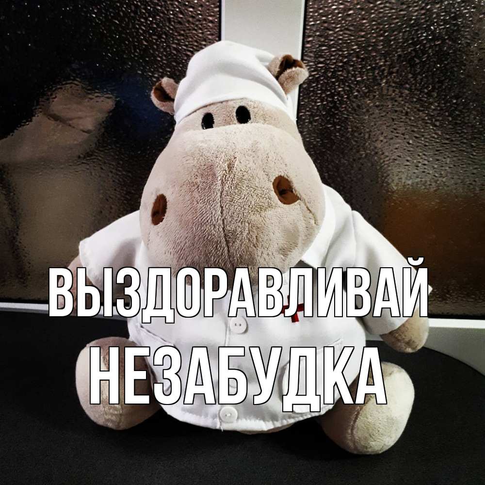 Открытка на каждый день с именем, Незабудка Выздоравливай всех излечит исцелит Прикольная открытка с пожеланием онлайн скачать бесплатно 