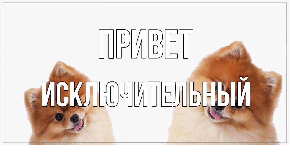 Открытка на каждый день с именем, Исключительный Привет привет Прикольная открытка с пожеланием онлайн скачать бесплатно 