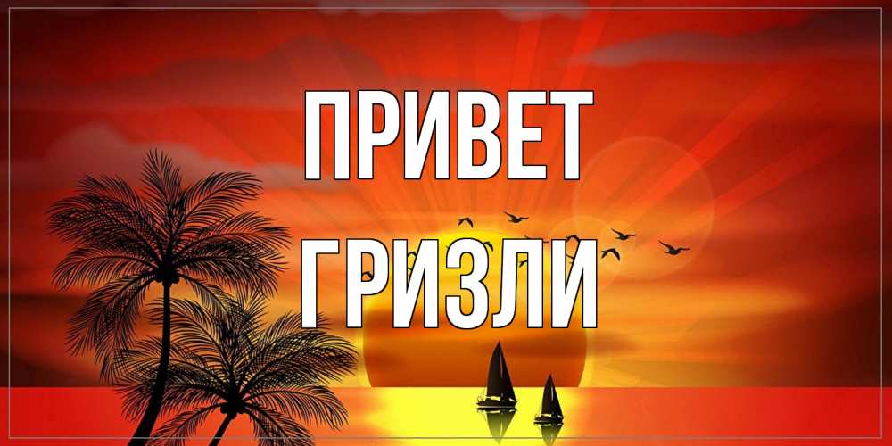 Открытка на каждый день с именем, Гризли Привет привет Прикольная открытка с пожеланием онлайн скачать бесплатно 