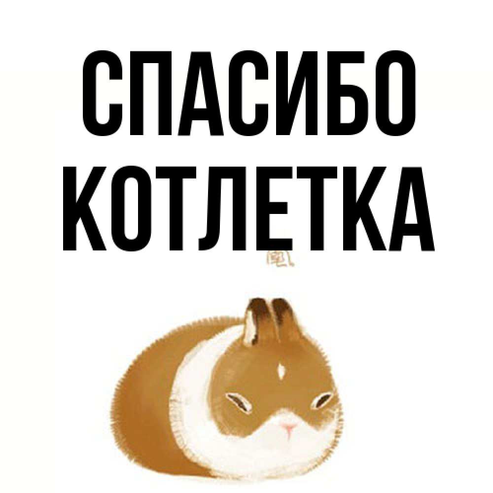 Открытка на каждый день с именем, Котлетка Спасибо коричнево белый домашний питомец Прикольная открытка с пожеланием онлайн скачать бесплатно 