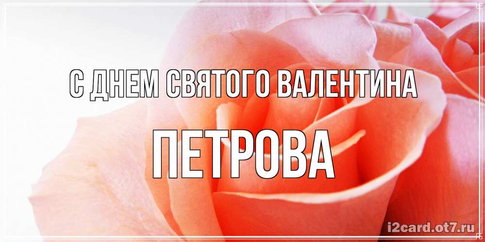 Открытка на каждый день с именем, Петрова С днем Святого Валентина открытка на день Святого Валентина с розовой розой Прикольная открытка с пожеланием онлайн скачать бесплатно 