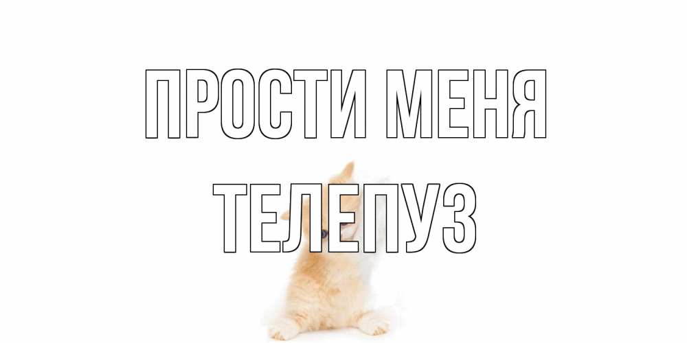 Открытка на каждый день с именем, Телепуз Прости меня кот Прикольная открытка с пожеланием онлайн скачать бесплатно 