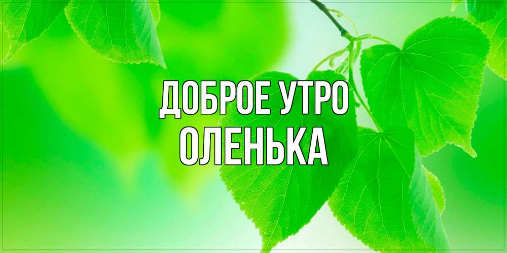 Открытка на каждый день с именем, Оленька Доброе утро доброе утро с березовыми листьями Прикольная открытка с пожеланием онлайн скачать бесплатно 