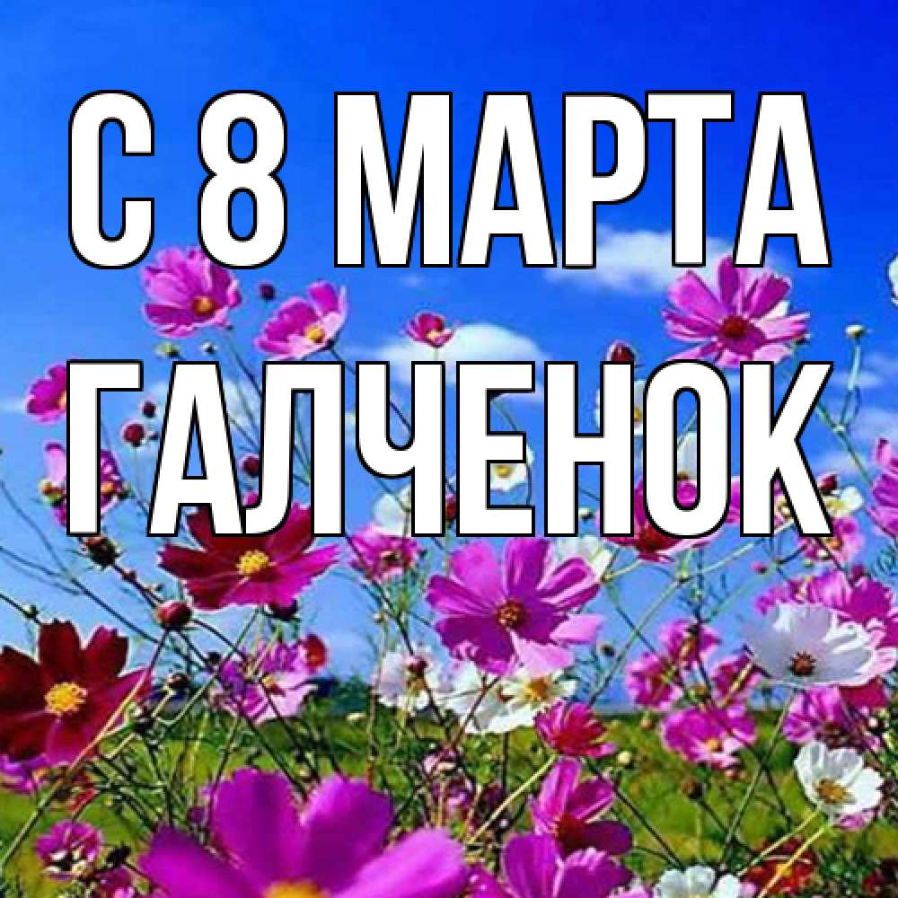 Открытка на каждый день с именем, Галченок C 8 МАРТА цветы Прикольная открытка с пожеланием онлайн скачать бесплатно 