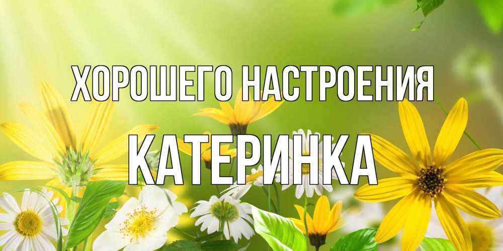 Открытка на каждый день с именем, Катеринка Хорошего настроения цветы Прикольная открытка с пожеланием онлайн скачать бесплатно 