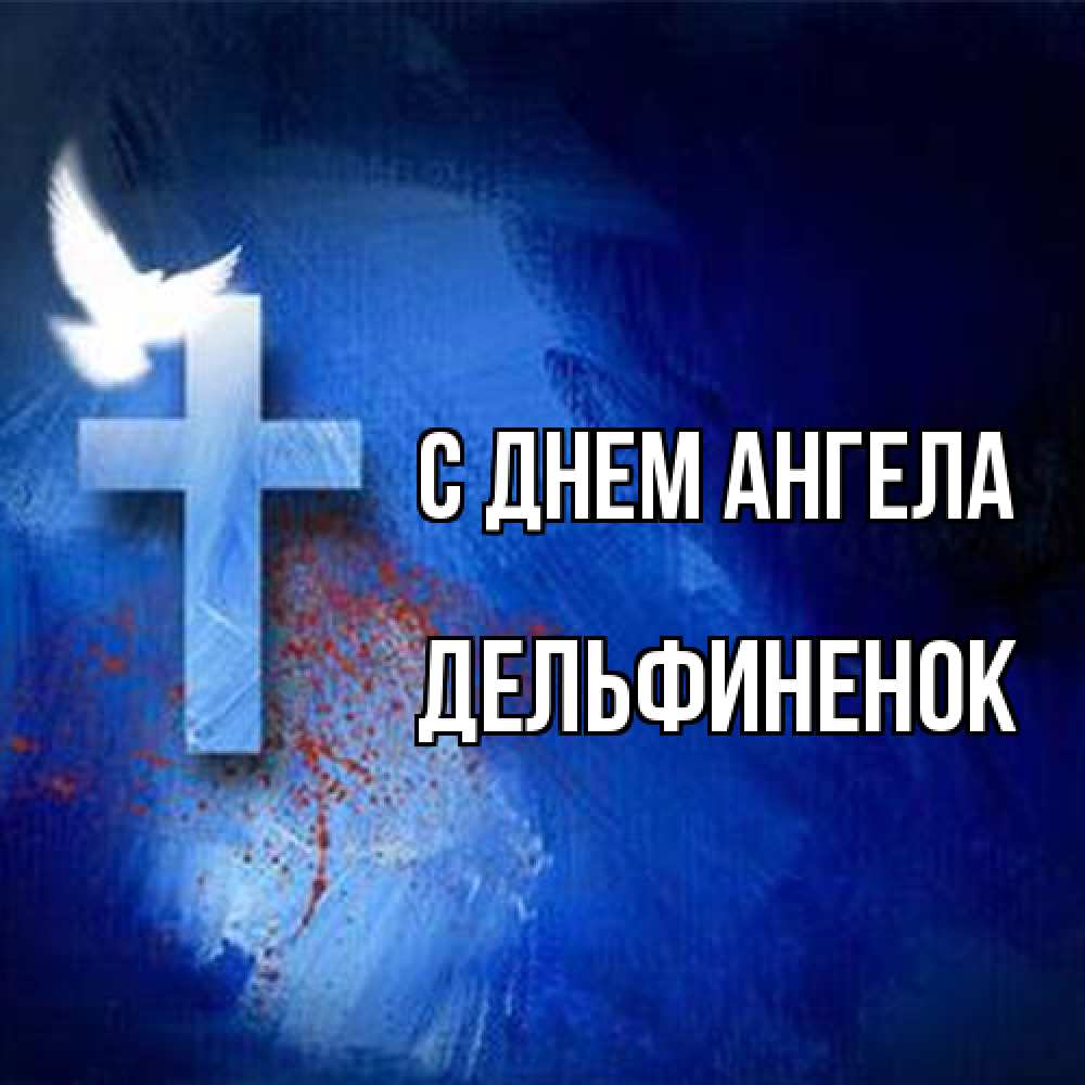 Открытка на каждый день с именем, дельфиненок С днем ангела Синий фон и птица Прикольная открытка с пожеланием онлайн скачать бесплатно 