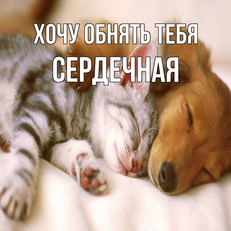 Открытка с именем, Сердечная, Хочу обнять тебя