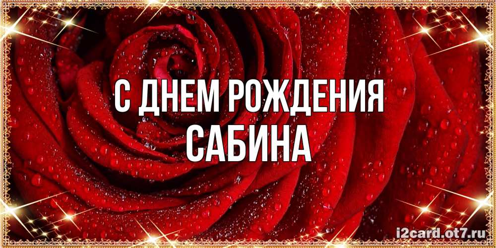 Открытка на каждый день с именем, Сабина С днем рождения роса на розе блестящая в лучах солнца Прикольная открытка с пожеланием онлайн скачать бесплатно 