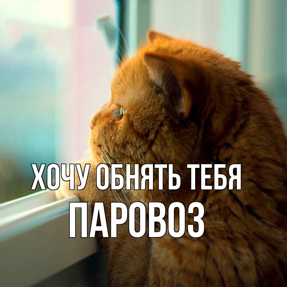 Открытка на каждый день с именем, Паровоз Хочу обнять тебя большой огромный рыжий котяра Прикольная открытка с пожеланием онлайн скачать бесплатно 