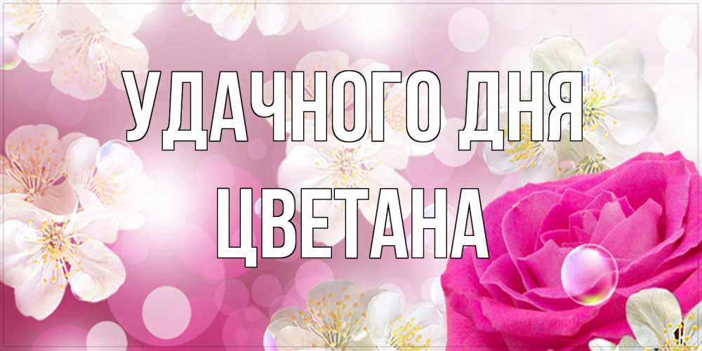 Открытка на каждый день с именем, Цветана Удачного дня красивые цветы Прикольная открытка с пожеланием онлайн скачать бесплатно 