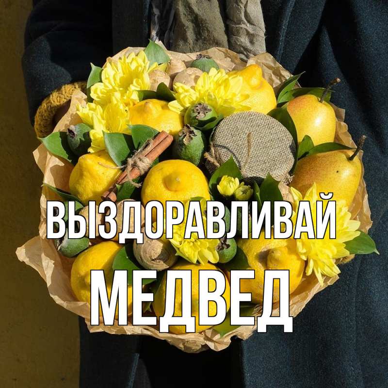 Картинка Выздоравливай, Медвед
