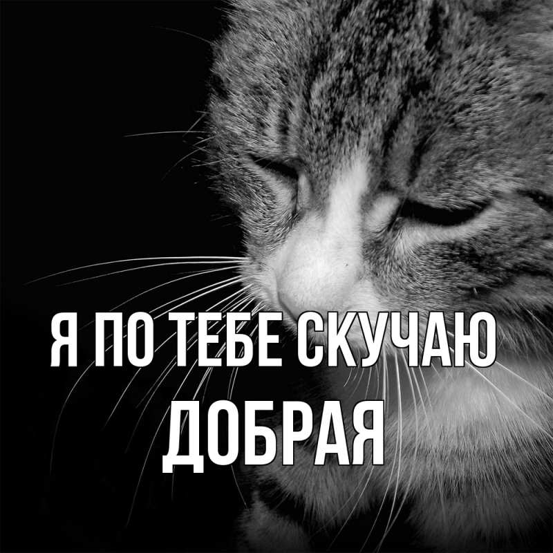 Открытка с именем, Добрая, Я по тебе скучаю