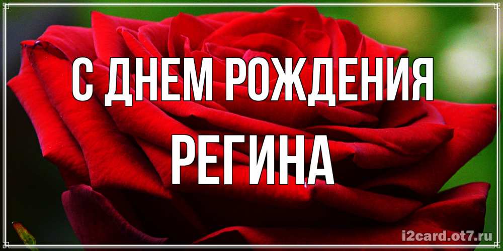 Открытка на каждый день с именем, Регина С днем рождения розочка очень красивая Прикольная открытка с пожеланием онлайн скачать бесплатно 