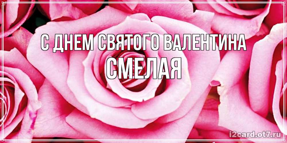 Открытка на каждый день с именем, Смелая С днем Святого Валентина роза розовая на день Святого Валентина Прикольная открытка с пожеланием онлайн скачать бесплатно 
