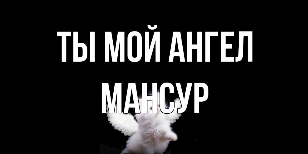 Открытка на каждый день с именем, Мансур Ты мой ангел Кот ангел Прикольная открытка с пожеланием онлайн скачать бесплатно 
