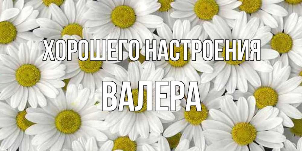 Открытка на каждый день с именем, Валера Хорошего настроения поляна ромашек Прикольная открытка с пожеланием онлайн скачать бесплатно 