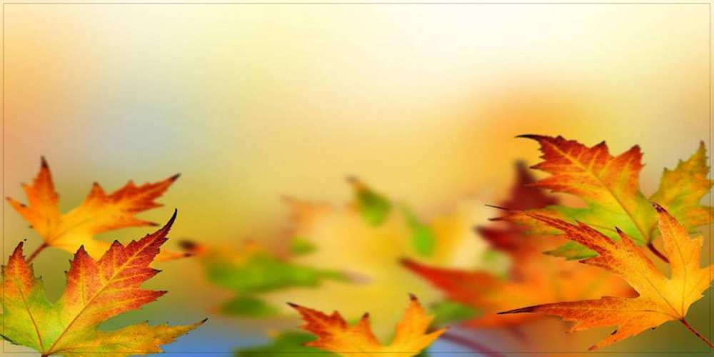 Открытка на каждый день с именем, Ярик Удачного дня открытка с пожеланием хорошего осеннего дня Прикольная открытка с пожеланием онлайн скачать бесплатно 