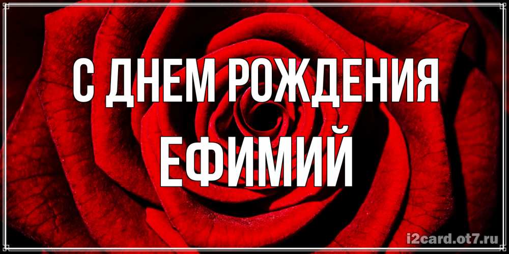 Открытка на каждый день с именем, Ефимий С днем рождения алая роза Прикольная открытка с пожеланием онлайн скачать бесплатно 