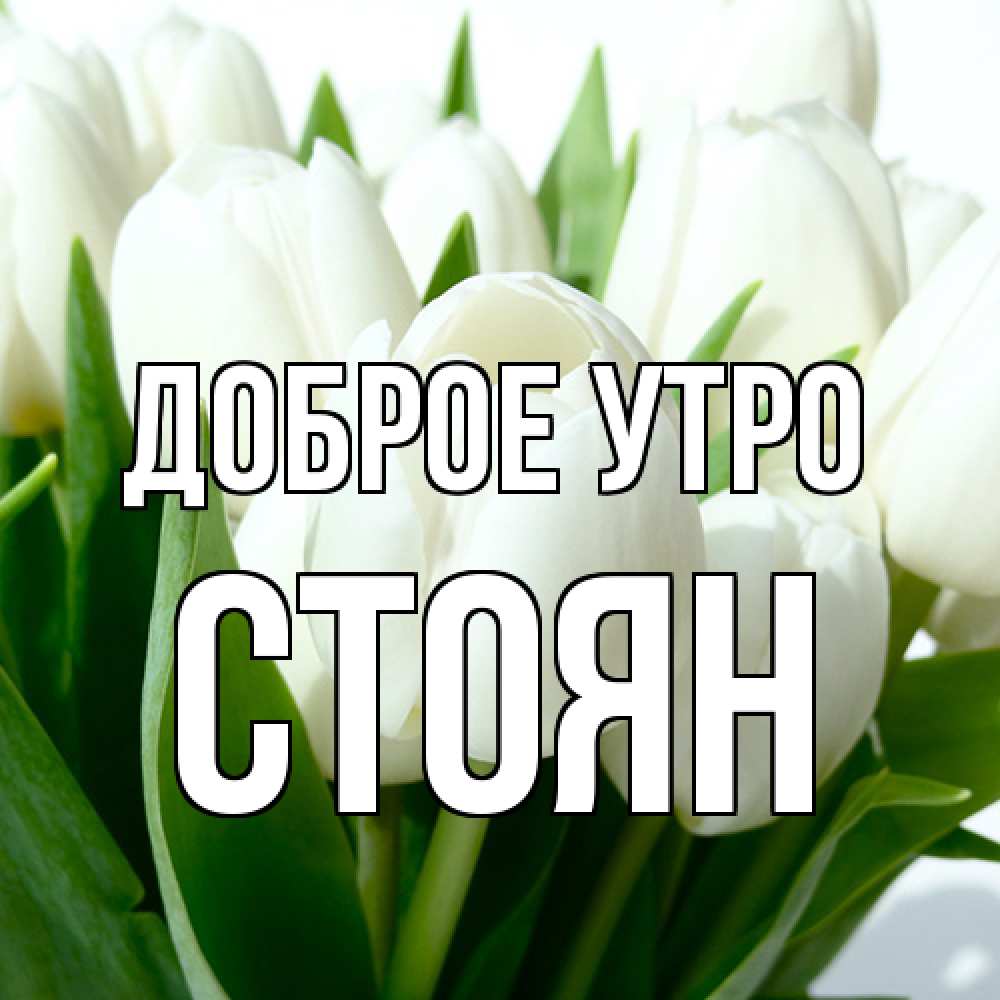 Открытка на каждый день с именем, Стоян Доброе утро открытки на каждый день по именам Прикольная открытка с пожеланием онлайн скачать бесплатно 
