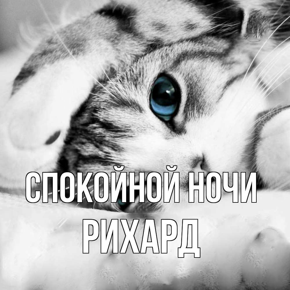 Открытка на каждый день с именем, Рихард Спокойной ночи кот устал Прикольная открытка с пожеланием онлайн скачать бесплатно 