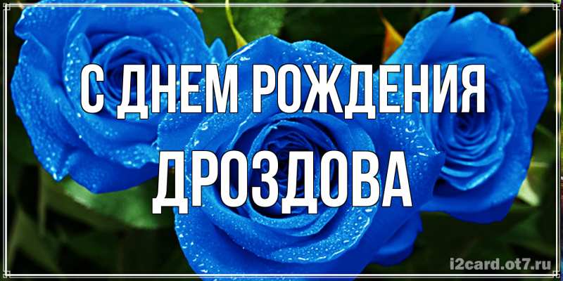 Картинка С днем рождения, Дроздова