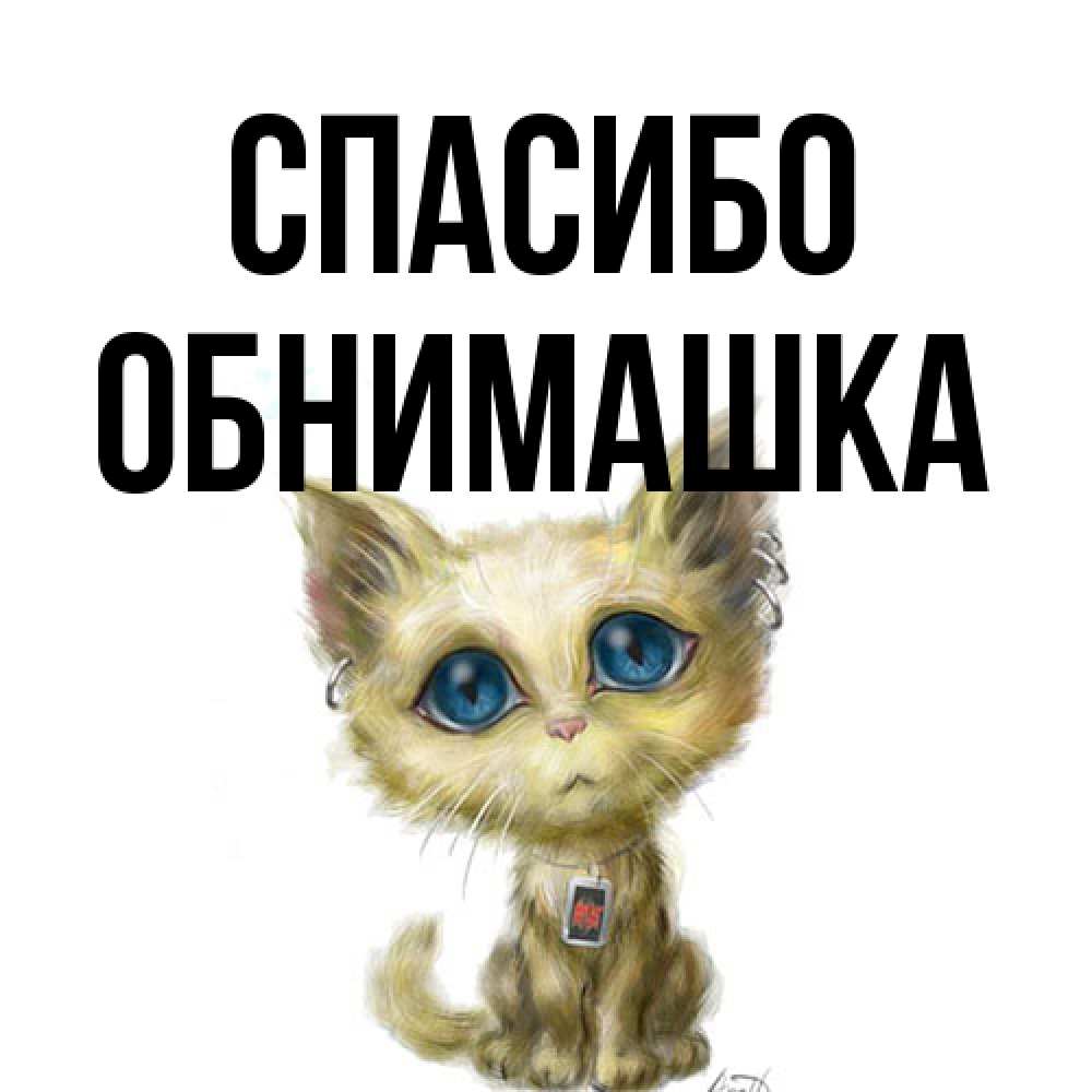 Открытка на каждый день с именем, обнимашка Спасибо рисованный кот благодарит вас Прикольная открытка с пожеланием онлайн скачать бесплатно 