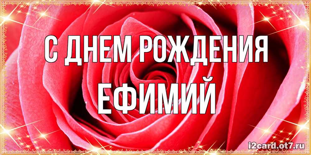 Открытка на каждый день с именем, Ефимий С днем рождения розовая роза очень крупный бутон Прикольная открытка с пожеланием онлайн скачать бесплатно 