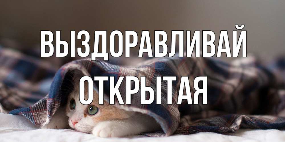 Открытка на каждый день с именем, открытая Выздоравливай не болейте с котиком Прикольная открытка с пожеланием онлайн скачать бесплатно 