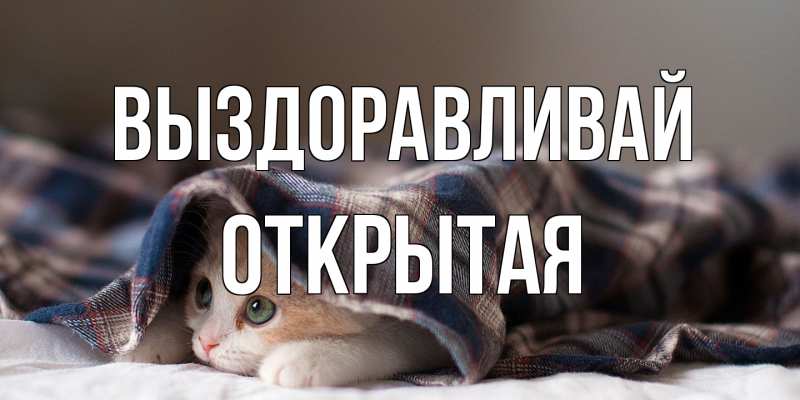 Картинка Выздоравливай, открытая