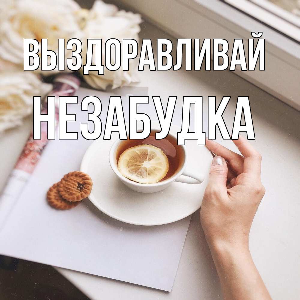 Открытка на каждый день с именем, Незабудка Выздоравливай и печеньками Прикольная открытка с пожеланием онлайн скачать бесплатно 