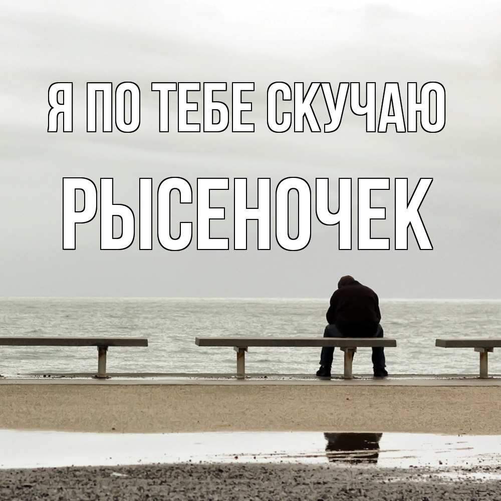 Открытка на каждый день с именем, Рысеночек Я по тебе скучаю приходи Прикольная открытка с пожеланием онлайн скачать бесплатно 