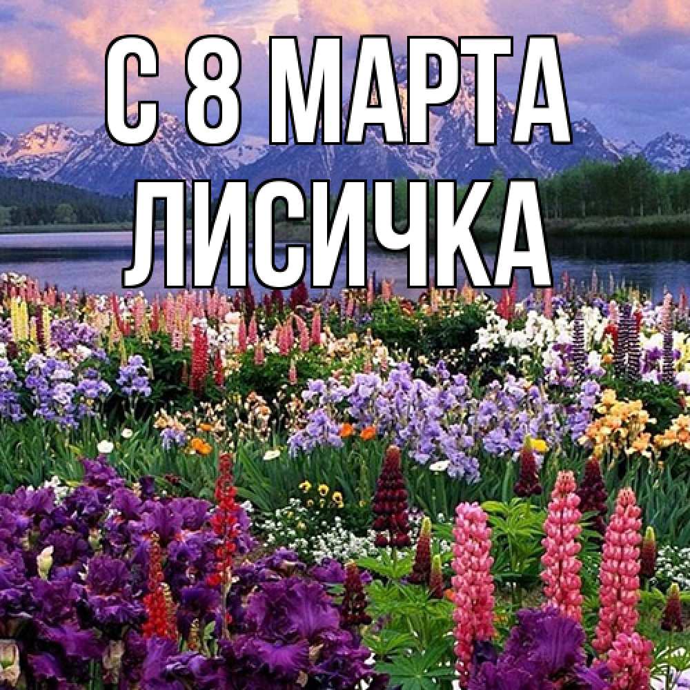 Открытка на каждый день с именем, Лисичка C 8 МАРТА международный женский день Прикольная открытка с пожеланием онлайн скачать бесплатно 