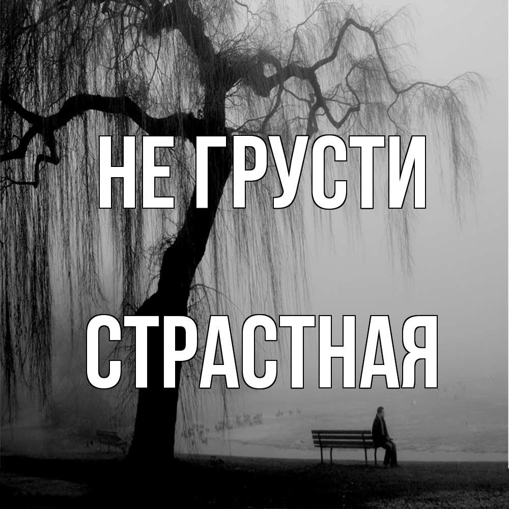 Открытка на каждый день с именем, Стpастная Не грусти висящие ветки дерева и лавочка под деревом Прикольная открытка с пожеланием онлайн скачать бесплатно 