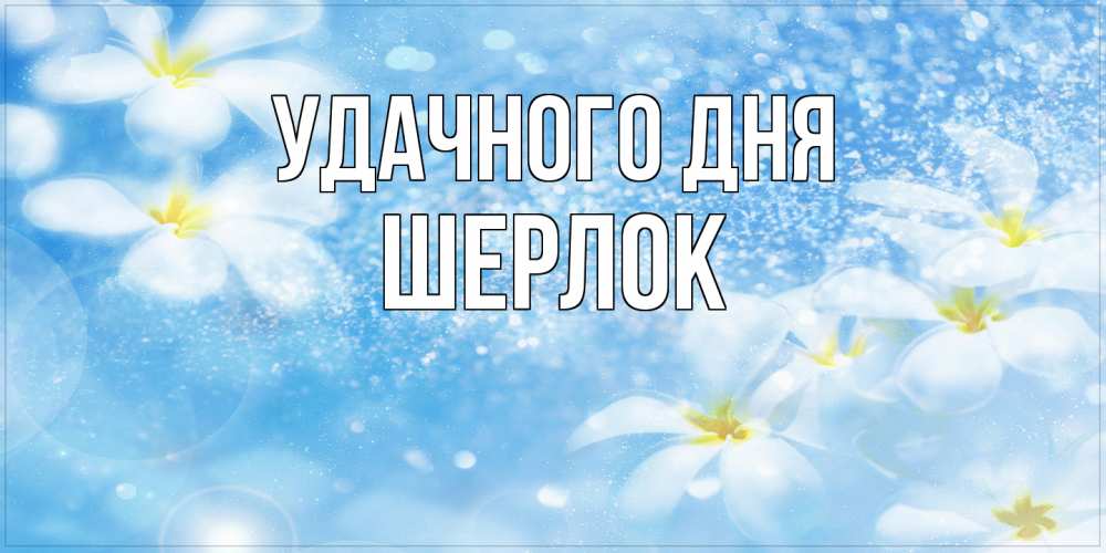 Открытка на каждый день с именем, Шерлок Удачного дня прекрасное настроение Прикольная открытка с пожеланием онлайн скачать бесплатно 