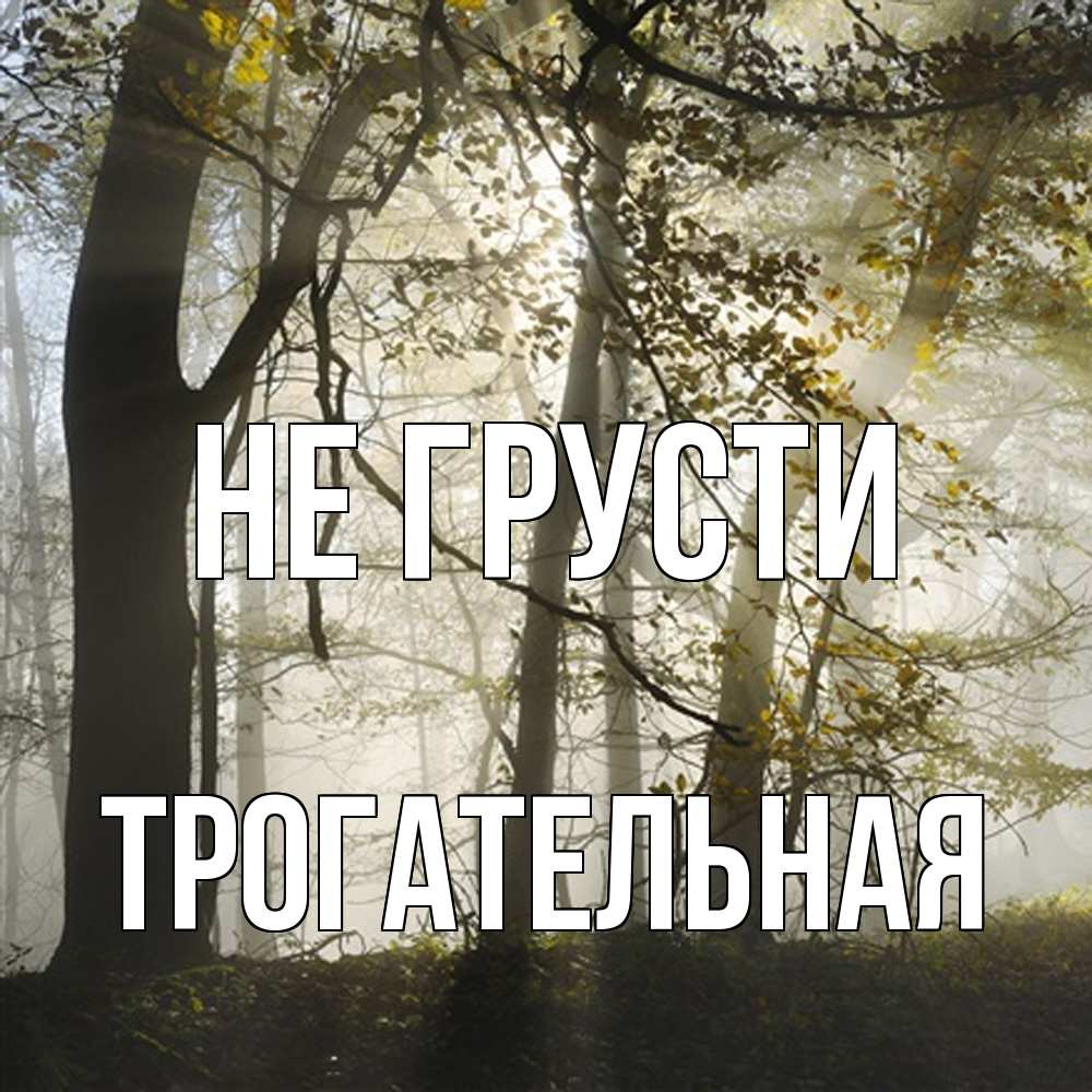 Открытка на каждый день с именем, Трогательная Не грусти лес и свет Прикольная открытка с пожеланием онлайн скачать бесплатно 