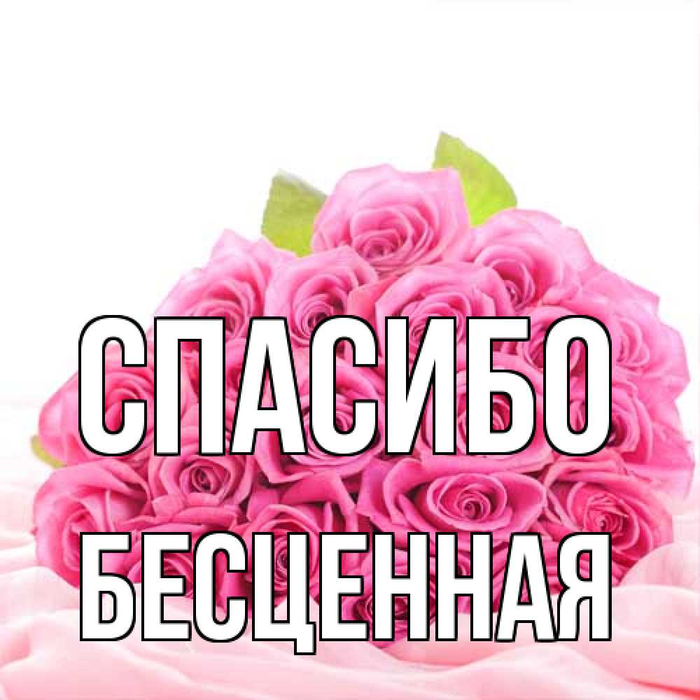 Открытка на каждый день с именем, Бесценная Спасибо розовые розы с подписью Прикольная открытка с пожеланием онлайн скачать бесплатно 