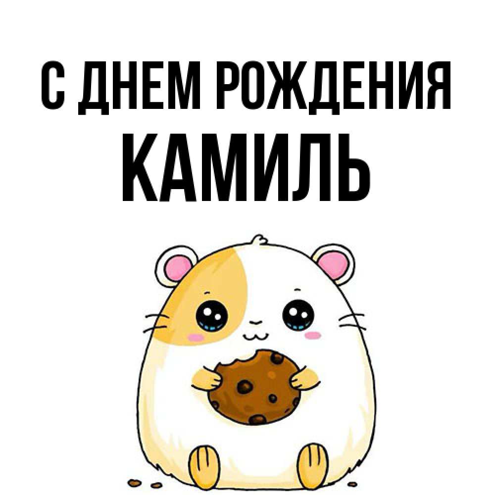 Открытка на каждый день с именем, Камиль С днем рождения с днюхой Прикольная открытка с пожеланием онлайн скачать бесплатно 