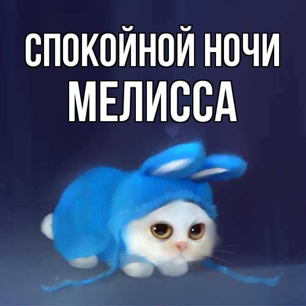 Открытка на каждый день с именем, Мелисса Спокойной ночи кот в голубом костюме кролика с ушками Прикольная открытка с пожеланием онлайн скачать бесплатно 