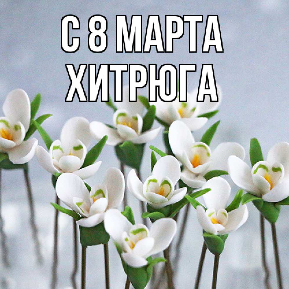 Открытка на каждый день с именем, хитрюга C 8 МАРТА весенние цветы Прикольная открытка с пожеланием онлайн скачать бесплатно 