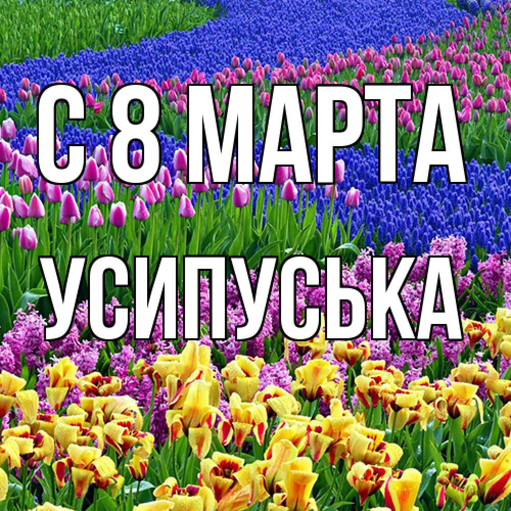 Открытка на каждый день с именем, усипуська C 8 МАРТА цветы Прикольная открытка с пожеланием онлайн скачать бесплатно 