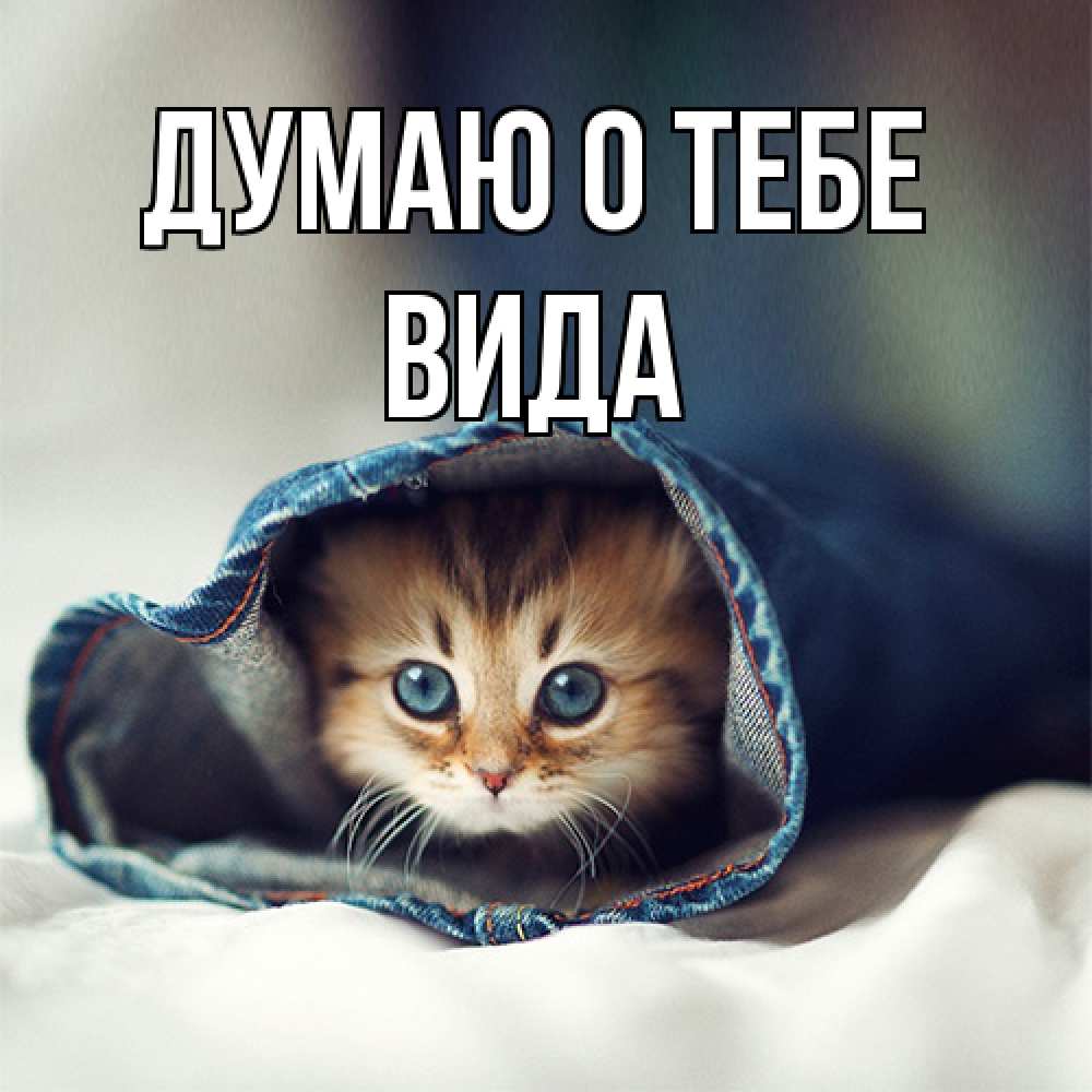 Открытка на каждый день с именем, Вида Думаю о тебе мне без тебя плохо Прикольная открытка с пожеланием онлайн скачать бесплатно 