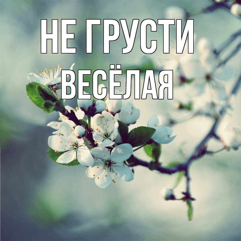 Открытка на каждый день с именем, Весёлая Не грусти яблоня в цвету 1 Прикольная открытка с пожеланием онлайн скачать бесплатно 