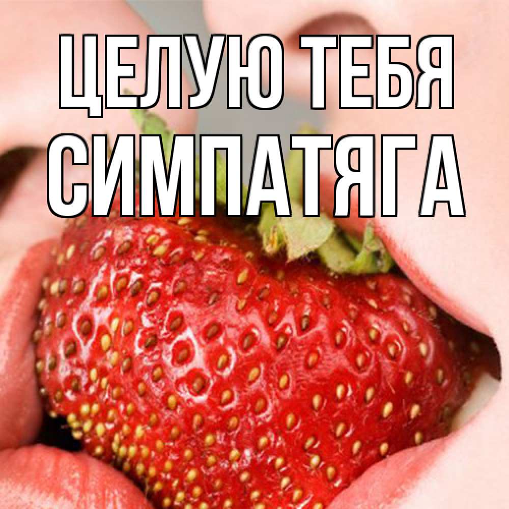 Открытка на каждый день с именем, Симпатяга Целую тебя поцелуйчик Прикольная открытка с пожеланием онлайн скачать бесплатно 