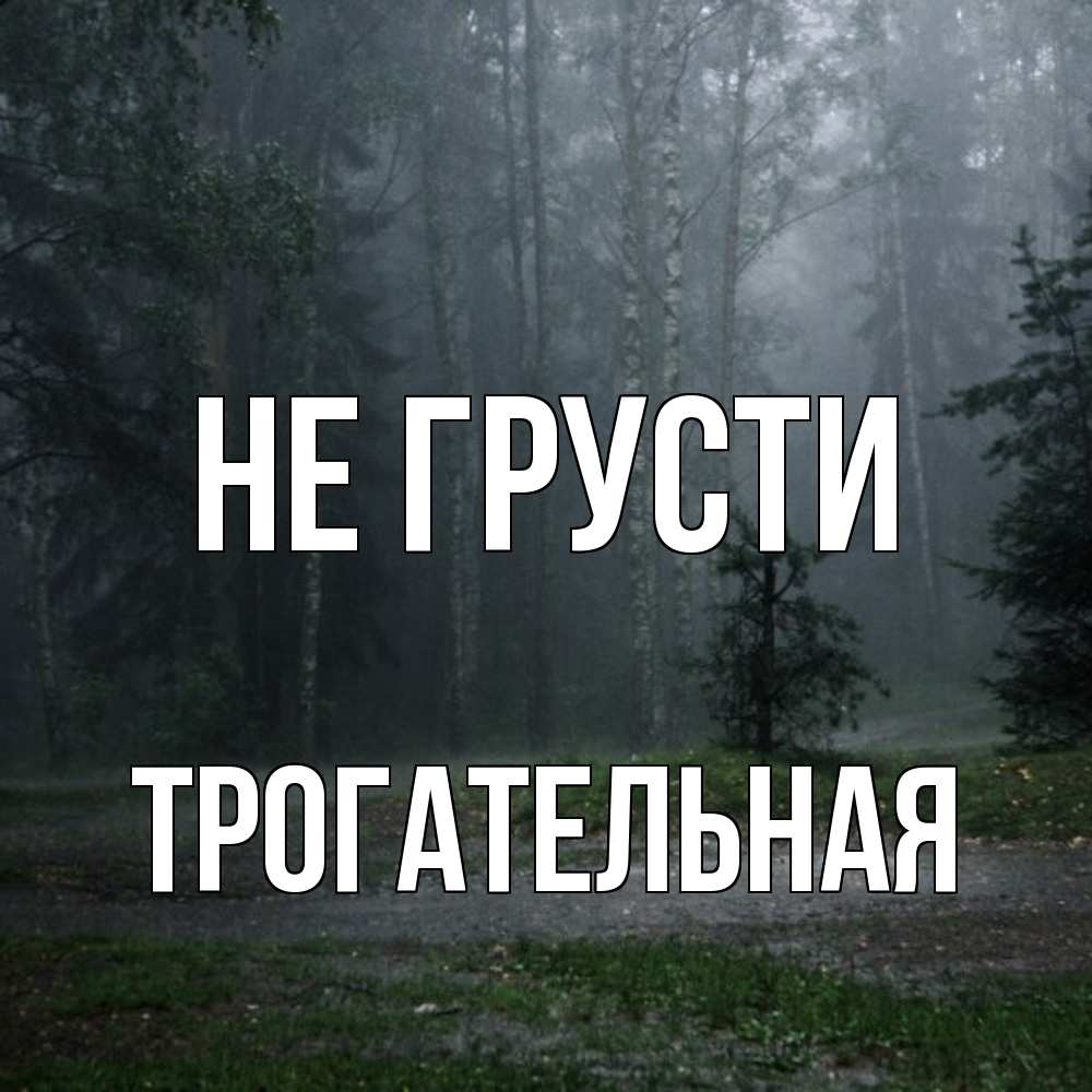 Открытка на каждый день с именем, Трогательная Не грусти осень Прикольная открытка с пожеланием онлайн скачать бесплатно 
