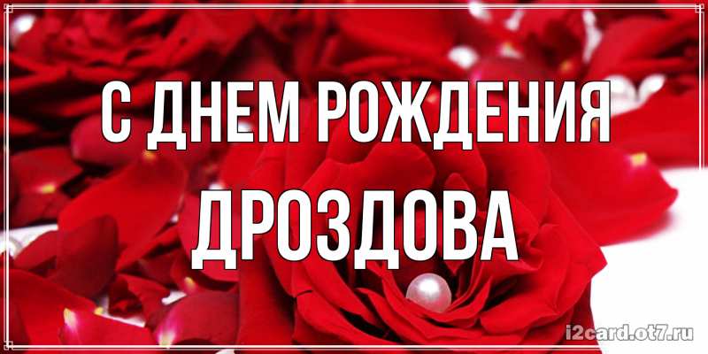 Картинка С днем рождения, Дроздова