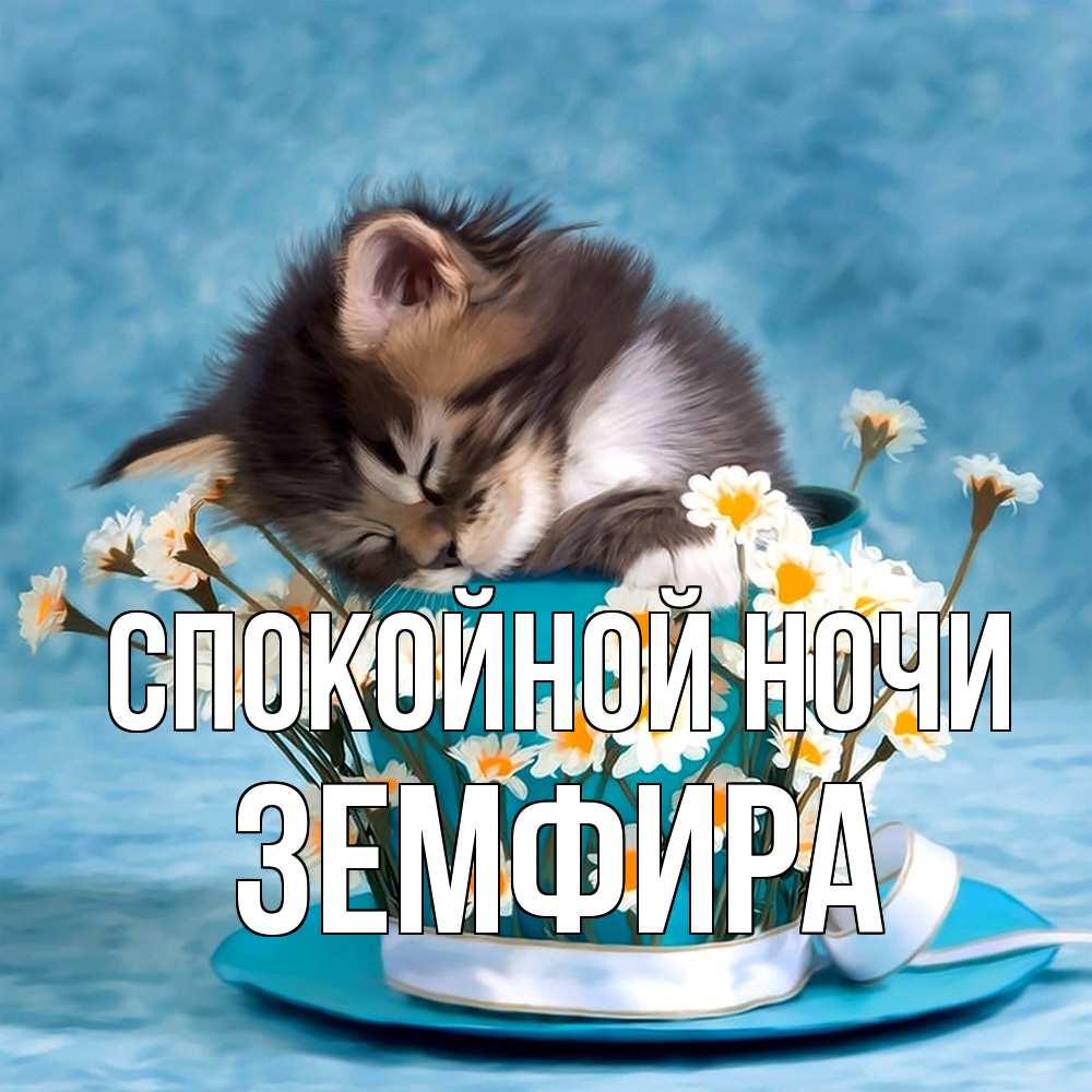 Открытка на каждый день с именем, Земфира Спокойной ночи котенок спит в кружке с блюдцем Прикольная открытка с пожеланием онлайн скачать бесплатно 