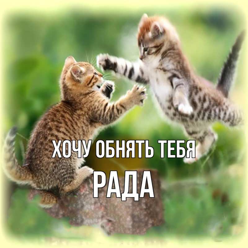 Картинка Хочу обнять тебя, Рада